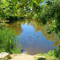 В ростовском зоопарке :: Нина Бутко В ростовском зоопарке :: Нина Бутко