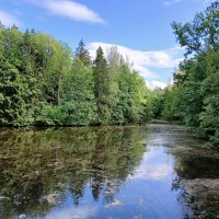 Лесная река. :: Лия ☼