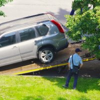 Сегодня - воскресенье, значит можно поспать вволю :) :: Юрий Куликов