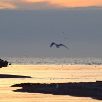 At the sunset :: Валерий 