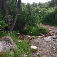 Talgar. :: Murat Bukaev 