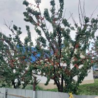 Talgar. :: Murat Bukaev 