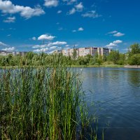 Мещерское озеро в Нижнем Новгороде :: Александр Синдерёв