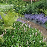 лето в городе :: Галина R...