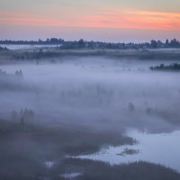 **** :: Елизавета .