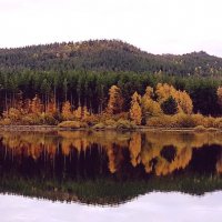 Осень :: Георгиевич 