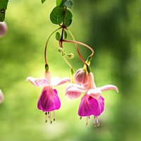 3876 :: Alex . 3876 :: Alex .