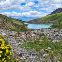 Желтый :: Виктор Фоменко