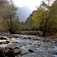 ПО НИЗАМ. :: Виктор Осипчук ПО НИЗАМ. :: Виктор Осипчук