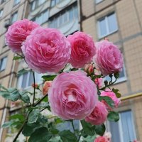 ,,, :: Сергей Тимоновский ,,, :: Сергей Тимоновский