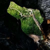 *** :: Влад Никишин