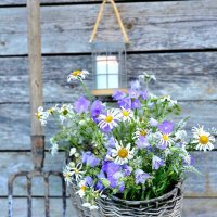 Дачный натюрморт :: Галина Левина