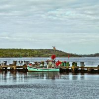 Ранним утром :: Галина Шеина-Мюльдорфер