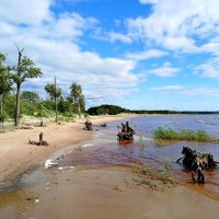 Берег чудес. :: Лия ☼