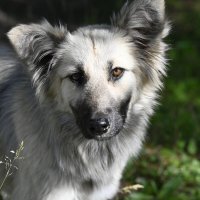 Ничейная :: Ольга 