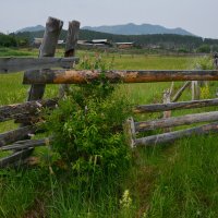 * :: Наталья Покацкая