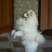 * :: Вадим * :: Вадим