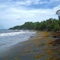 Дикий берег на острове Мартиника. :: unix (Илья Утропов)