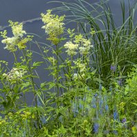 У берега :: Сергей Цветков