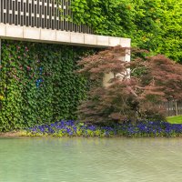 Прогулка в парке Галицкого :: Игорь Сикорский