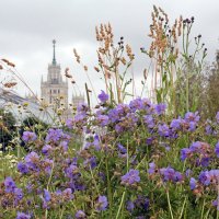 Зарядье :: Михаил Бибичков Зарядье :: Михаил Бибичков