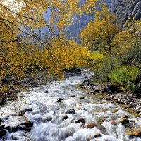 ПО НИЗАМ. :: Виктор Осипчук