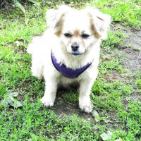 - Чтобы такого сделать плохого... :: Galaelina ***