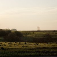 На рассвете дня :: Джованни Луче