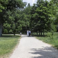 Природа ботанического сада :: Валентин Семчишин