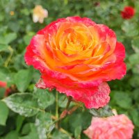 ,,, :: Сергей Тимоновский ,,, :: Сергей Тимоновский