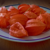 Физалис. :: Лилия * Физалис. :: Лилия *