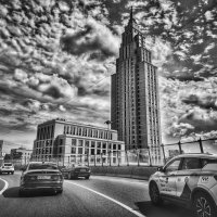 **** :: Алексей Архипов