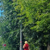 **** :: Алексей Архипов