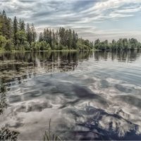 Отражение. :: Александр Максимов