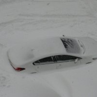 Снежный капкан :: Олег Иванов