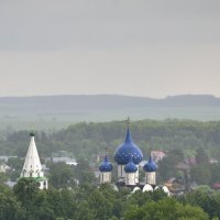 Был сильный дождь :: Марина Виноградова