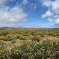 Кусочек весеннего Марокко. :: unix (Илья Утропов)