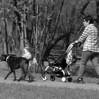 Конвой. :: Борис Бутцев