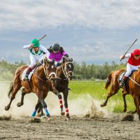 Скачки :: SanSan 