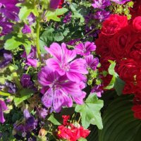 ,,, :: Сергей Тимоновский