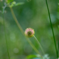 ___ :: Yuriy V ___ :: Yuriy V