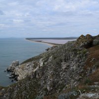 Природа Крыма :: Amazing Cosmea Природа Крыма :: Amazing Cosmea