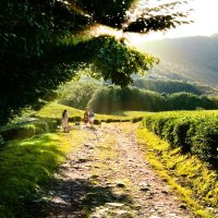 Закат :: Плохой фотограф 