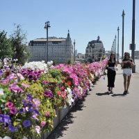 ** :: Виктор Берёзкин