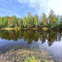 Пейзаж :: Наталья 