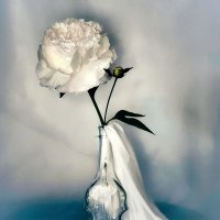 Свадебный вальс. :: Галина Левина