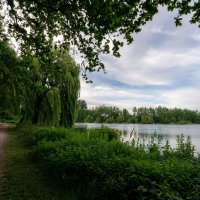 Майский пейзаж... :: Николай Гирш