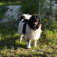 Жорик :: Freddy 97 Жорик :: Freddy 97