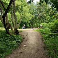 В парке... :: Мария Васильева