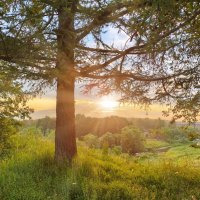 *** :: Денис Бочкарёв